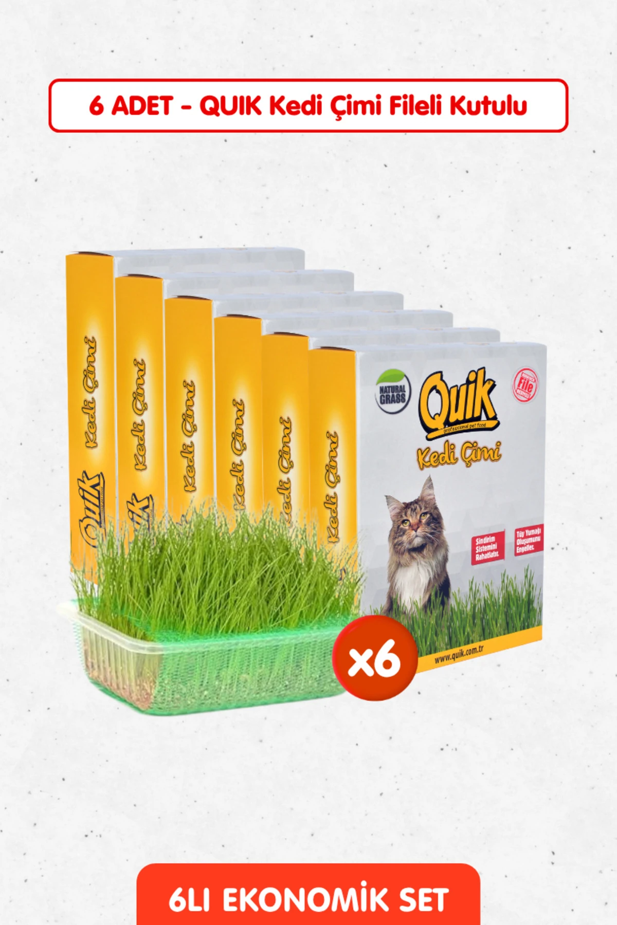 6 Adet Doğal Kedi Çimi Fileli ve Kutulu Tüy Yumağı Önleyici