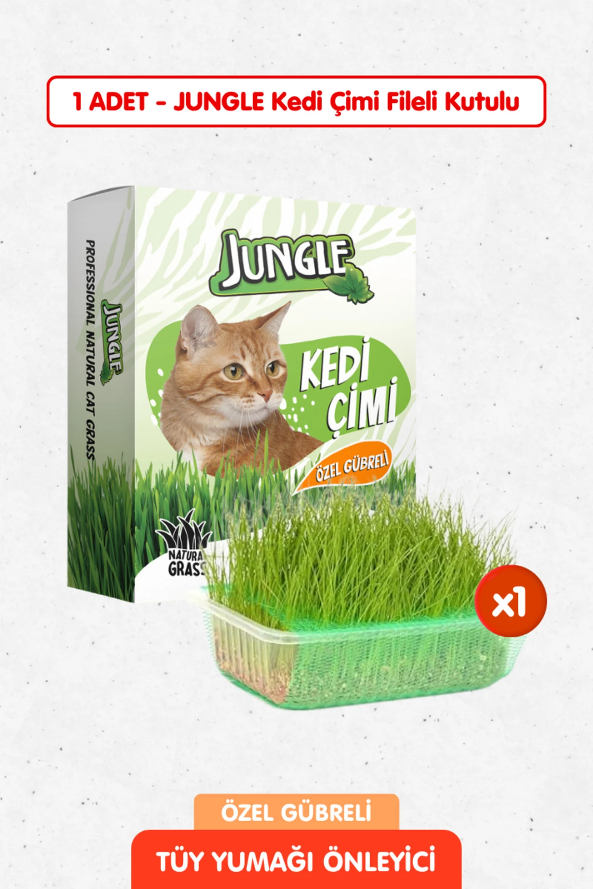 Özel Gübreli %100 Doğal Kedi Çimi Fileli ve Kutulu Tüy Yumağı Önleyici