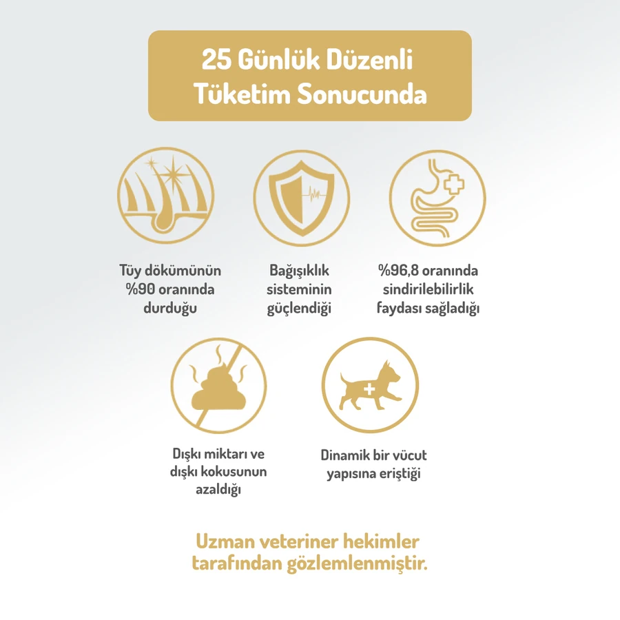 Kolajenli Somonlu Az Tahıllı Small/Mini Yetişkin Köpek Maması /Mini HypoAllergenic Köpek Maması 3Kg + 4 ADET Wanpy Ezme 90gr