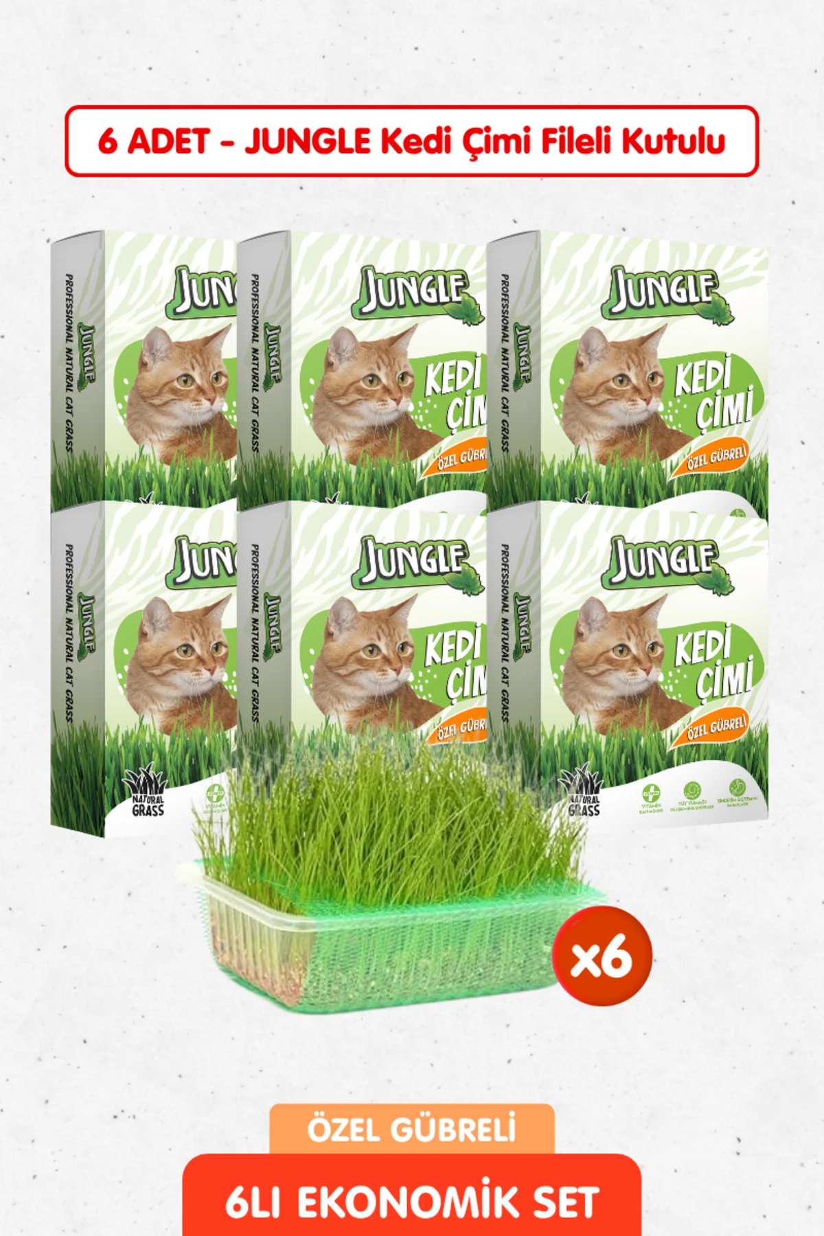 6 Adet Özel Gübreli Doğal Kedi Çimi Fileli ve Kutulu Tüy Yumağı Önleyici