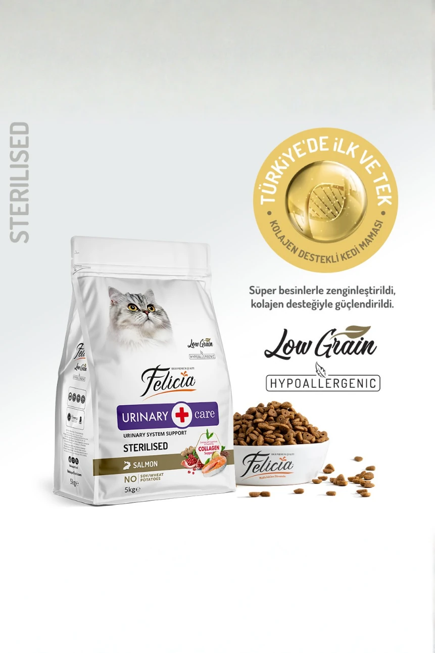 5 kg Somonlu Düşük Tahıllı Yetişkin Kısır Kedi Maması 25li Kedi Ödülü Krema 15li Lolipop