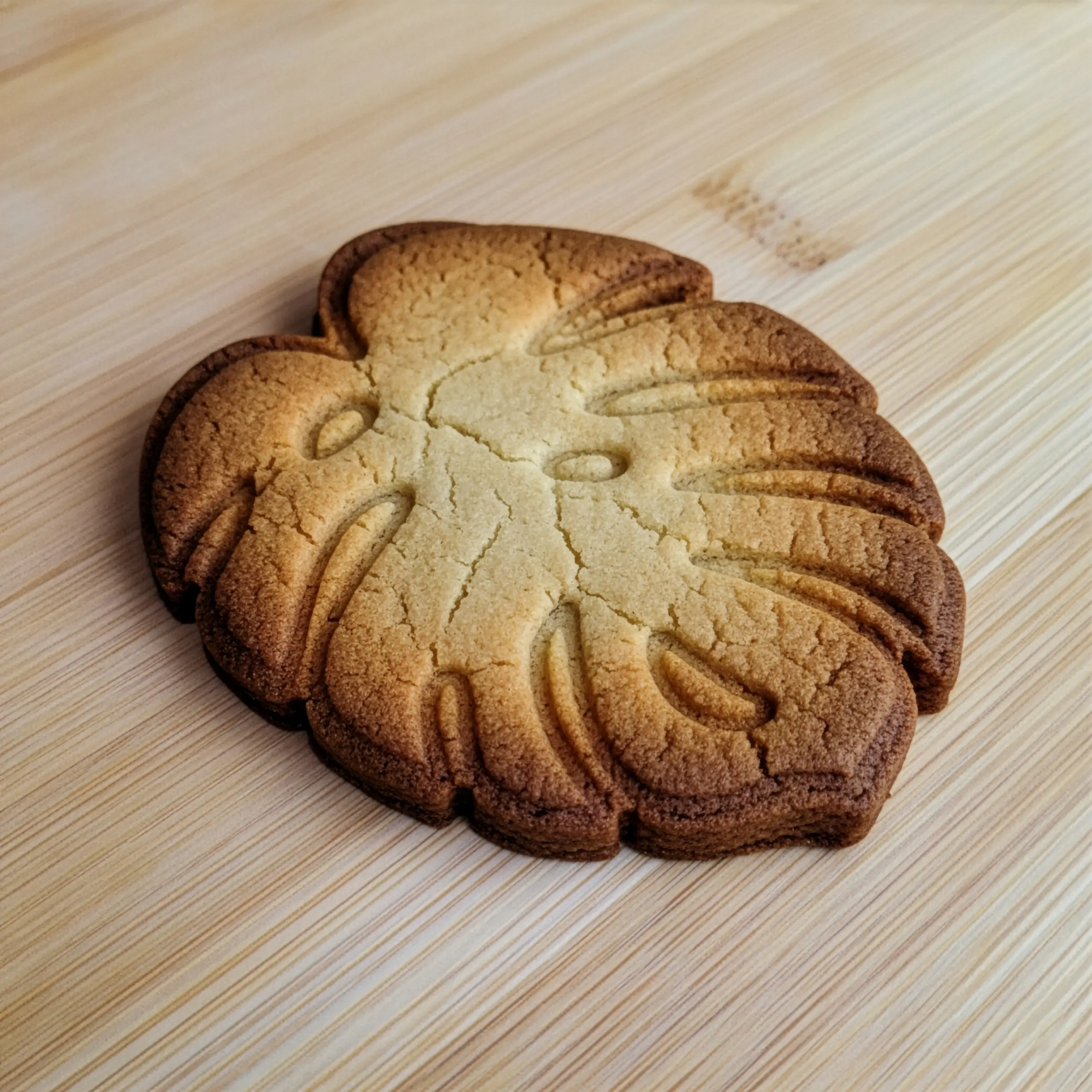 Doğa Yaprakları & Tüyler Kurabiye Kalıp Seti (7 Parça 8-9 cm)