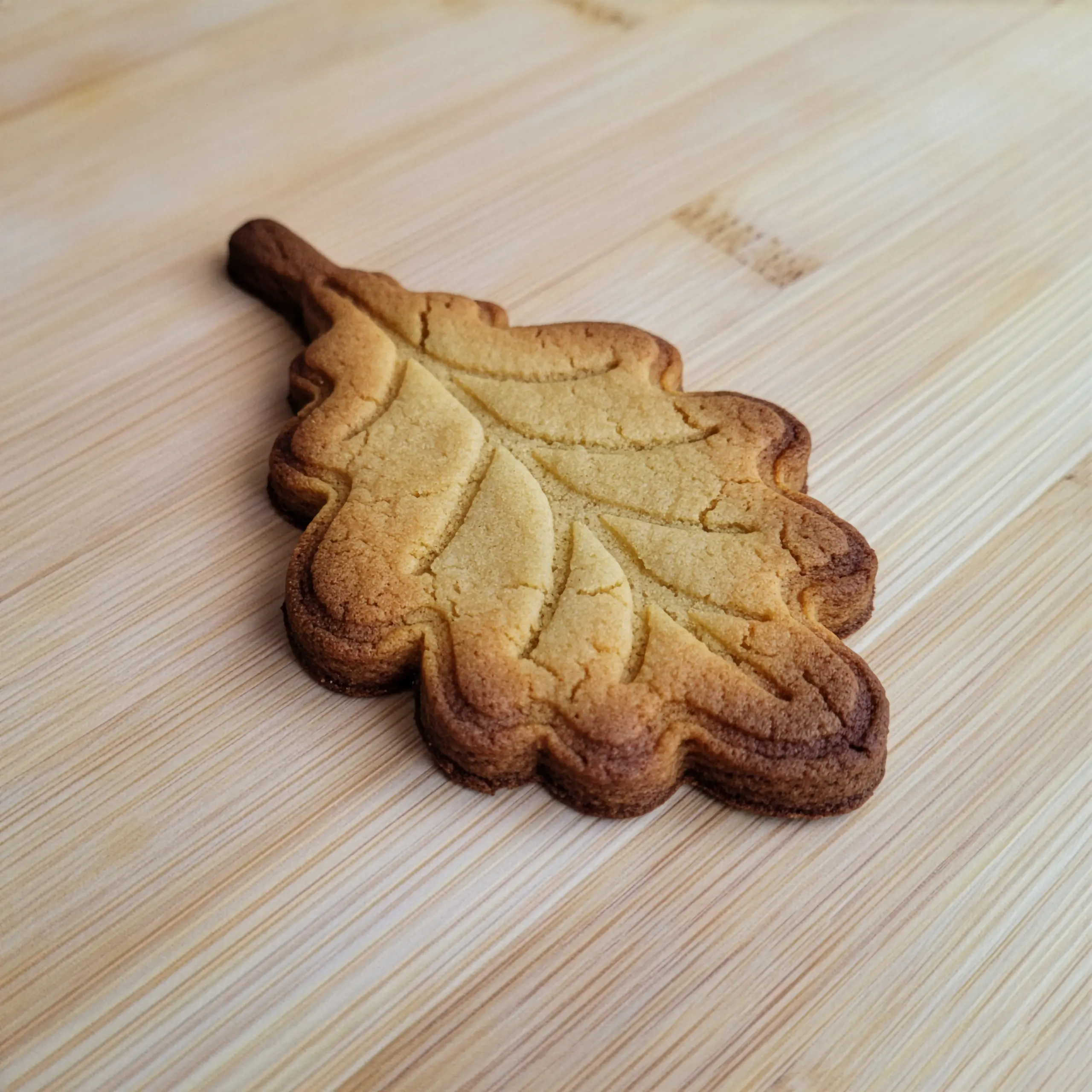 Doğa Yaprakları & Tüyler Kurabiye Kalıp Seti (7 Parça 8-9 cm)