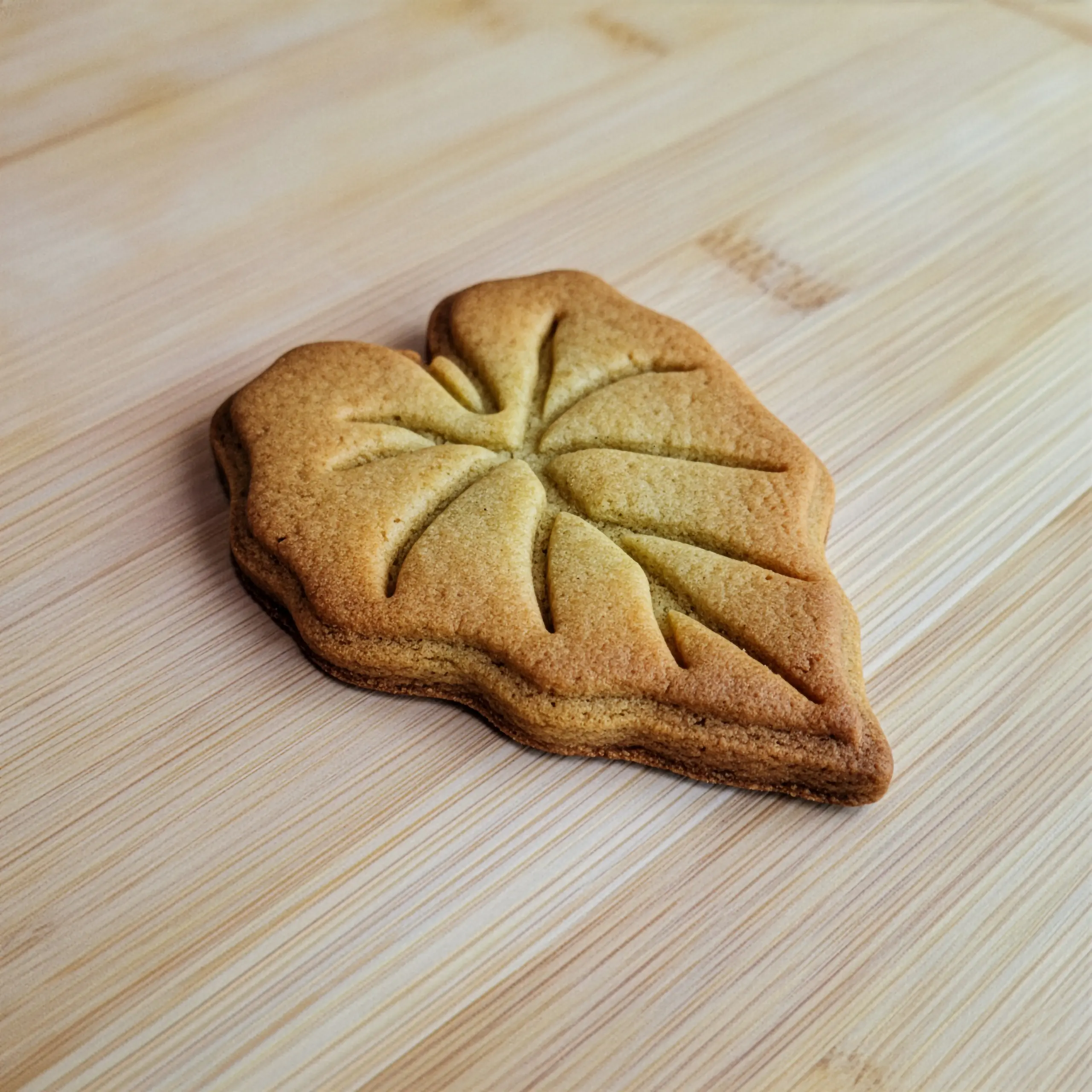 Doğa Yaprakları & Tüyler Kurabiye Kalıp Seti (7 Parça 8-9 cm)