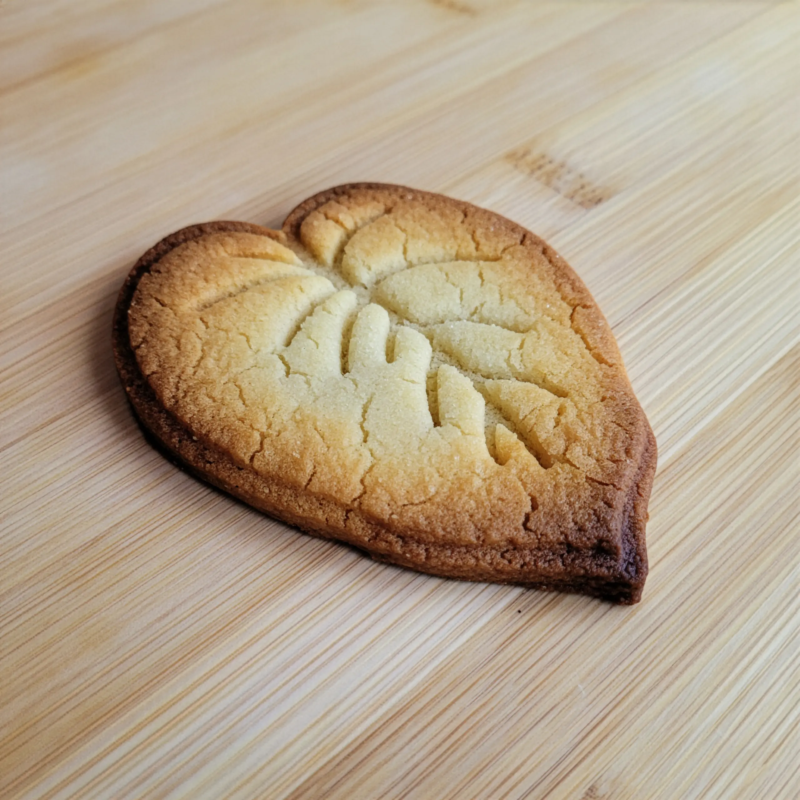 Doğa Yaprakları & Tüyler Kurabiye Kalıp Seti (7 Parça 8-9 cm)