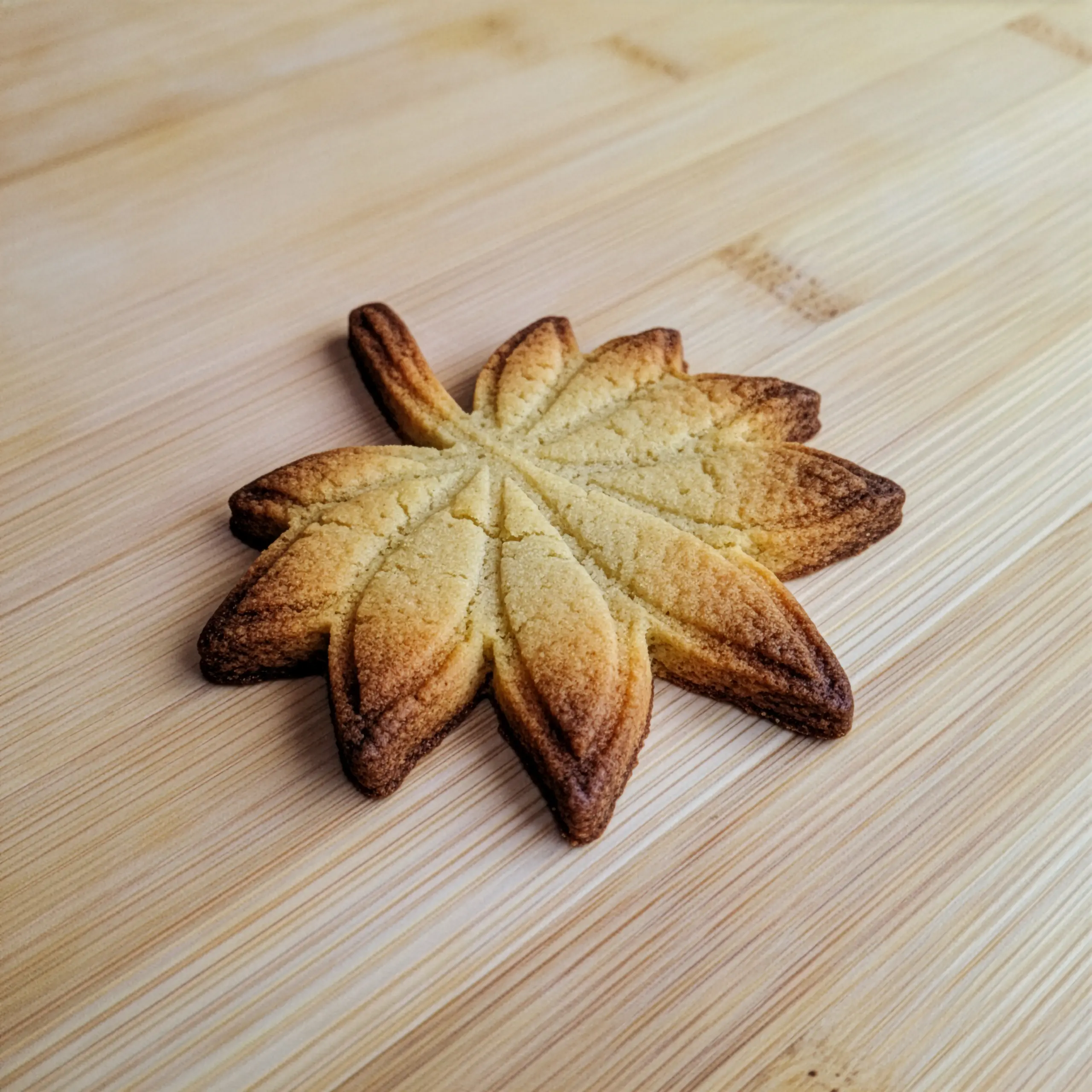 Doğa Yaprakları & Tüyler Kurabiye Kalıp Seti (7 Parça 8-9 cm)