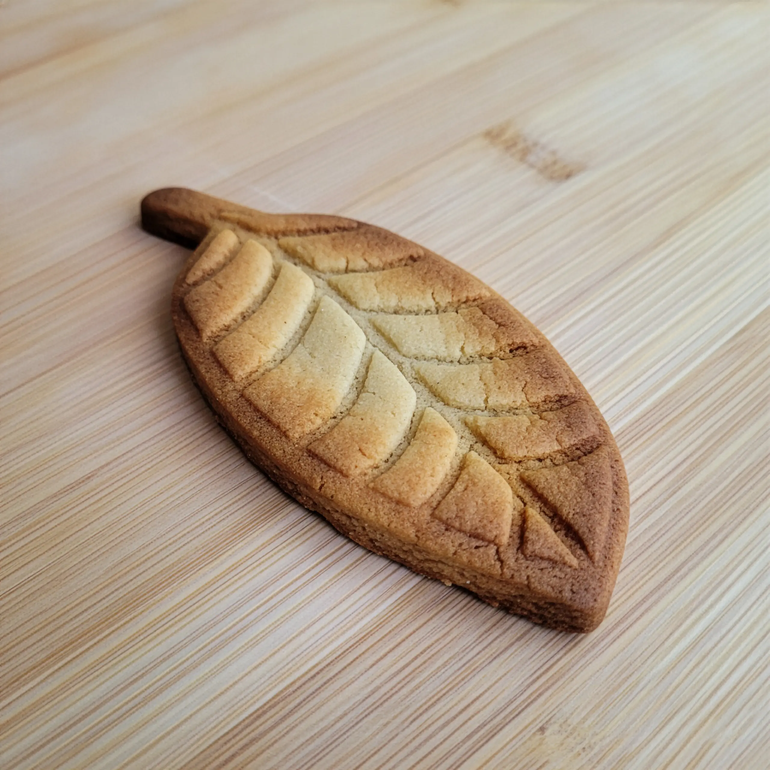 Doğa Yaprakları & Tüyler Kurabiye Kalıp Seti (7 Parça 8-9 cm)