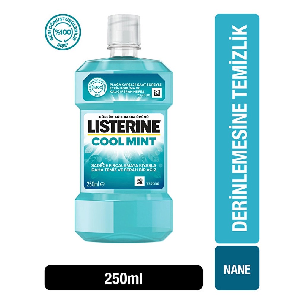 Listerine Ağız Gargarası Nane Aromalı 250 ml