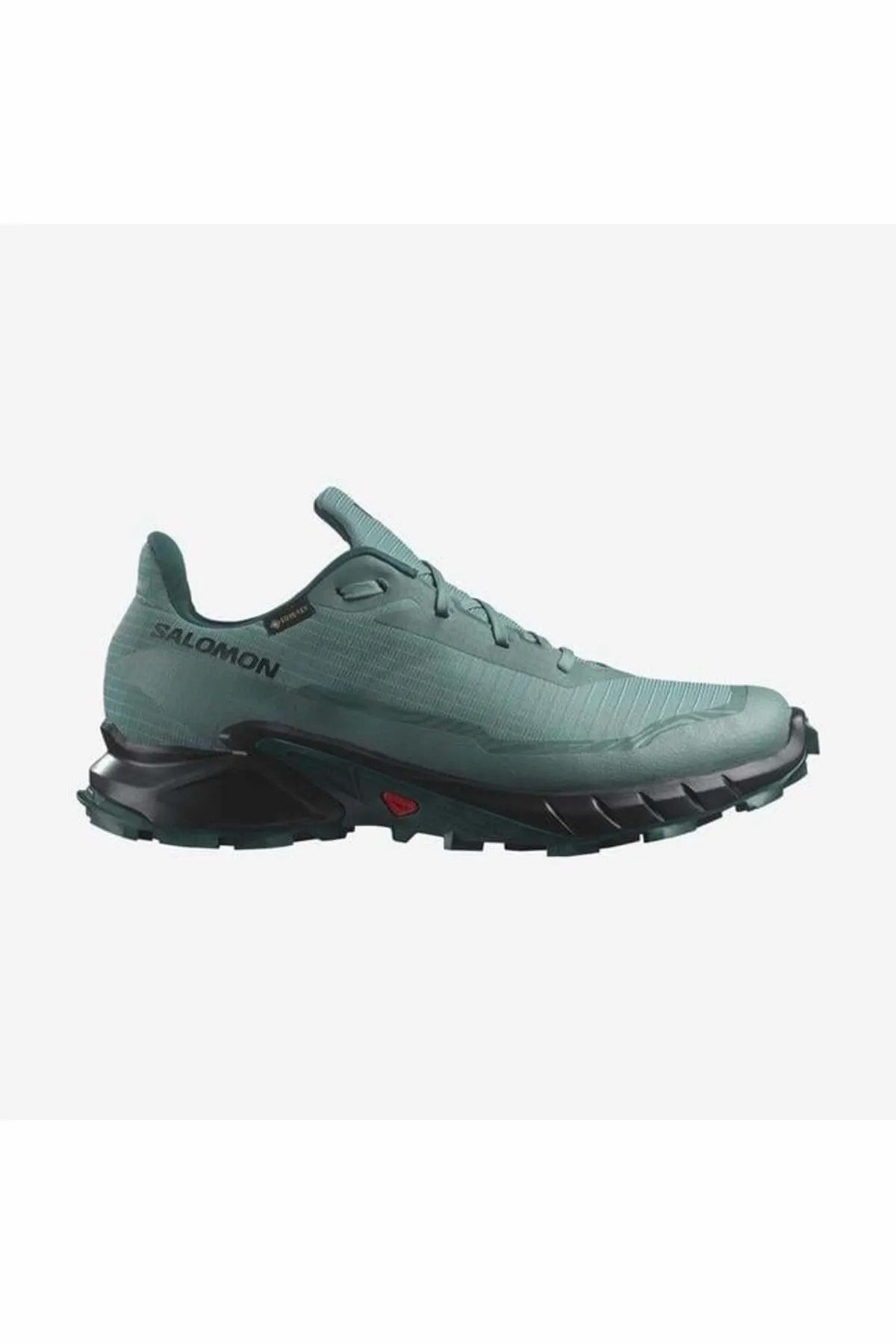 Salomon Alphacross 5 Gore Tex Erkek Ayakkabı L47595000 - MAVİ