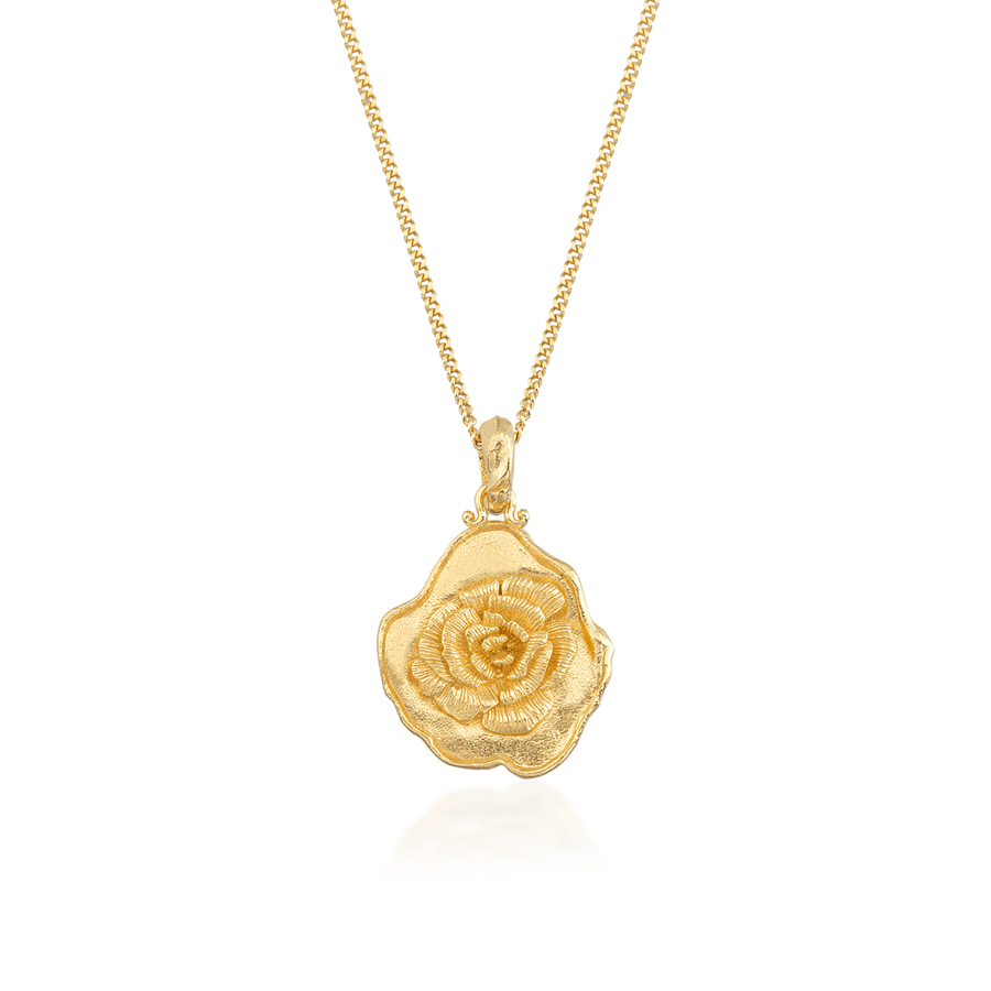 Carnation Necklace - January