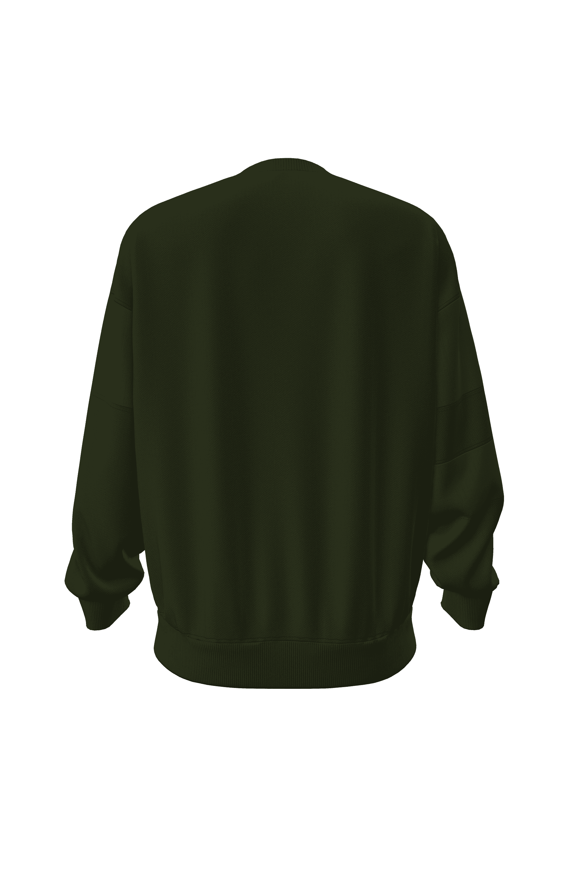 PAMUKLU SWEATSHIRT RE-SIS LOGOLU