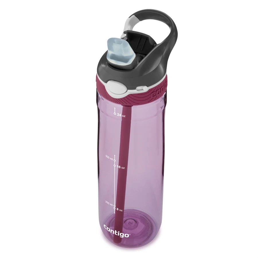Contigo Ashland Tek El Bas İç Kilitli Su Matarası 720ml 2106518 Mor