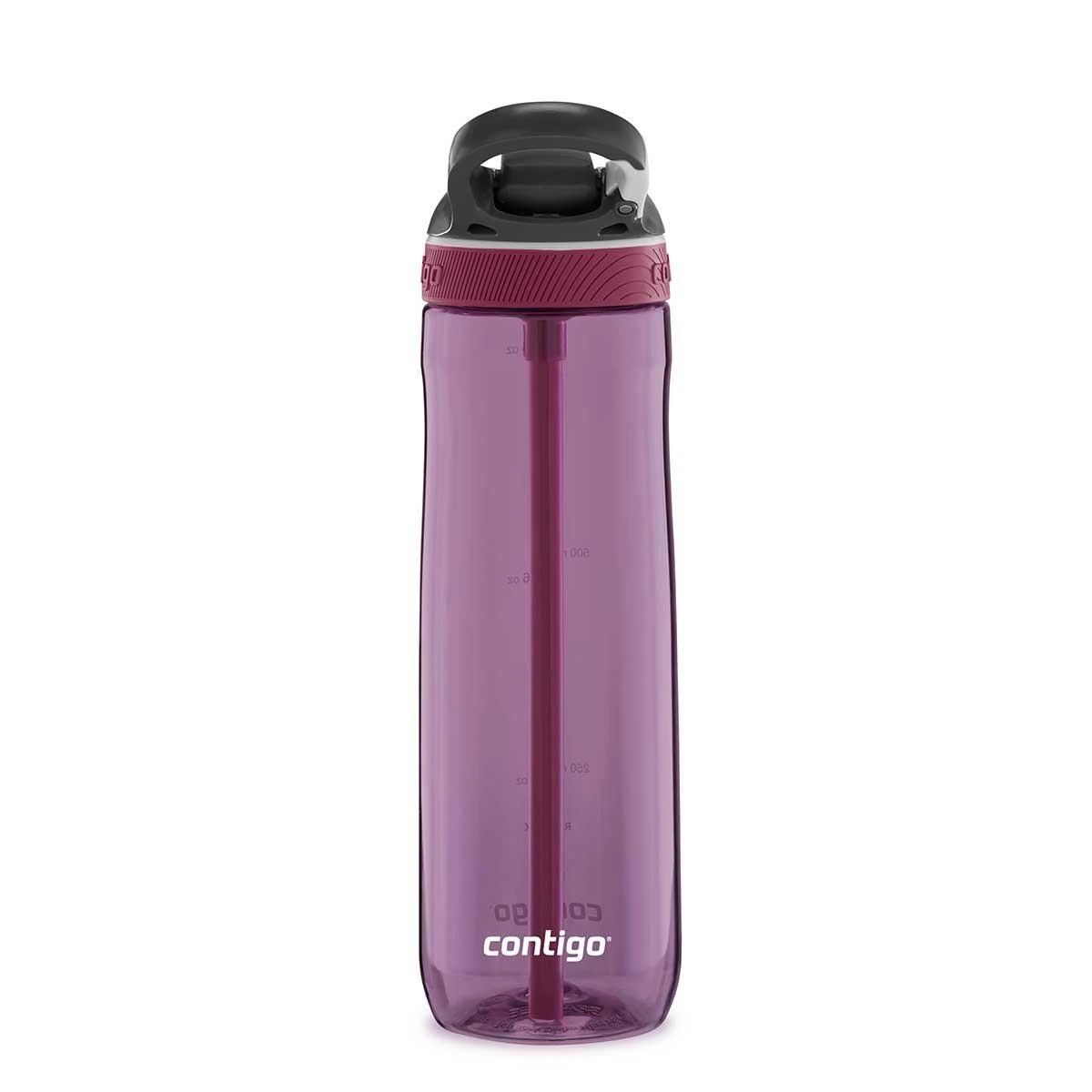 Contigo Ashland Tren Tek El Bas İç Kapaklı Su Matarası 720ml 2191382 Mor