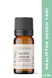 Okaliptus