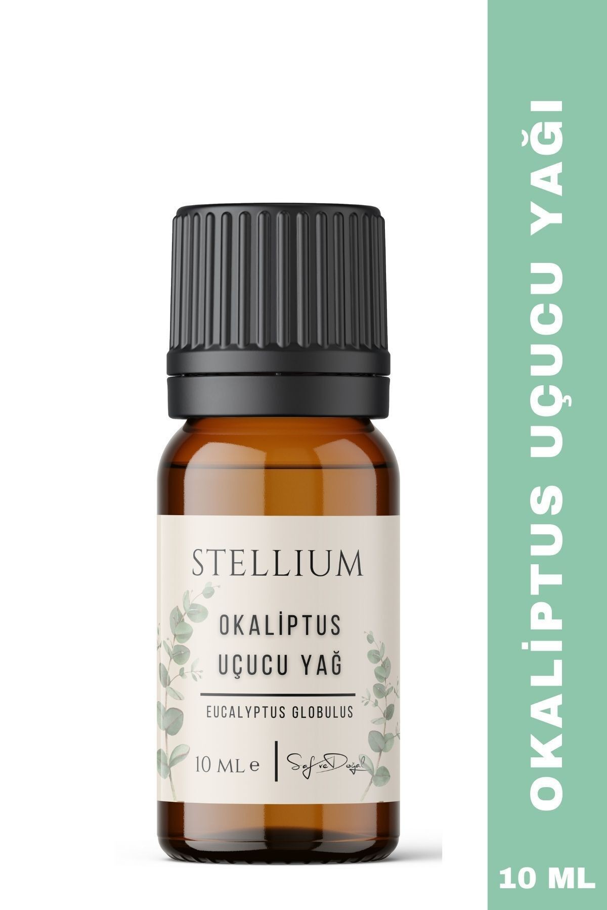 Okaliptus Uçucu Yağı 10 ml (%100 Doğal)-Eucalyptus essential Oil