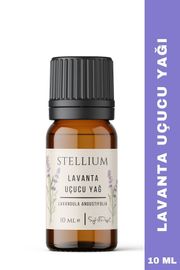 Lavanta