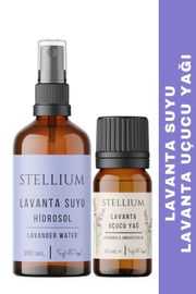 Lavanta