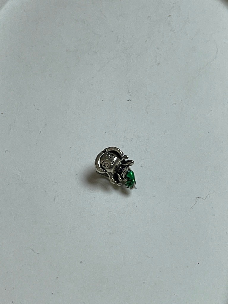 PANDORA CHARM