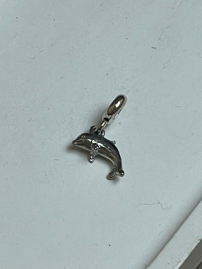 PANDORA CHARM