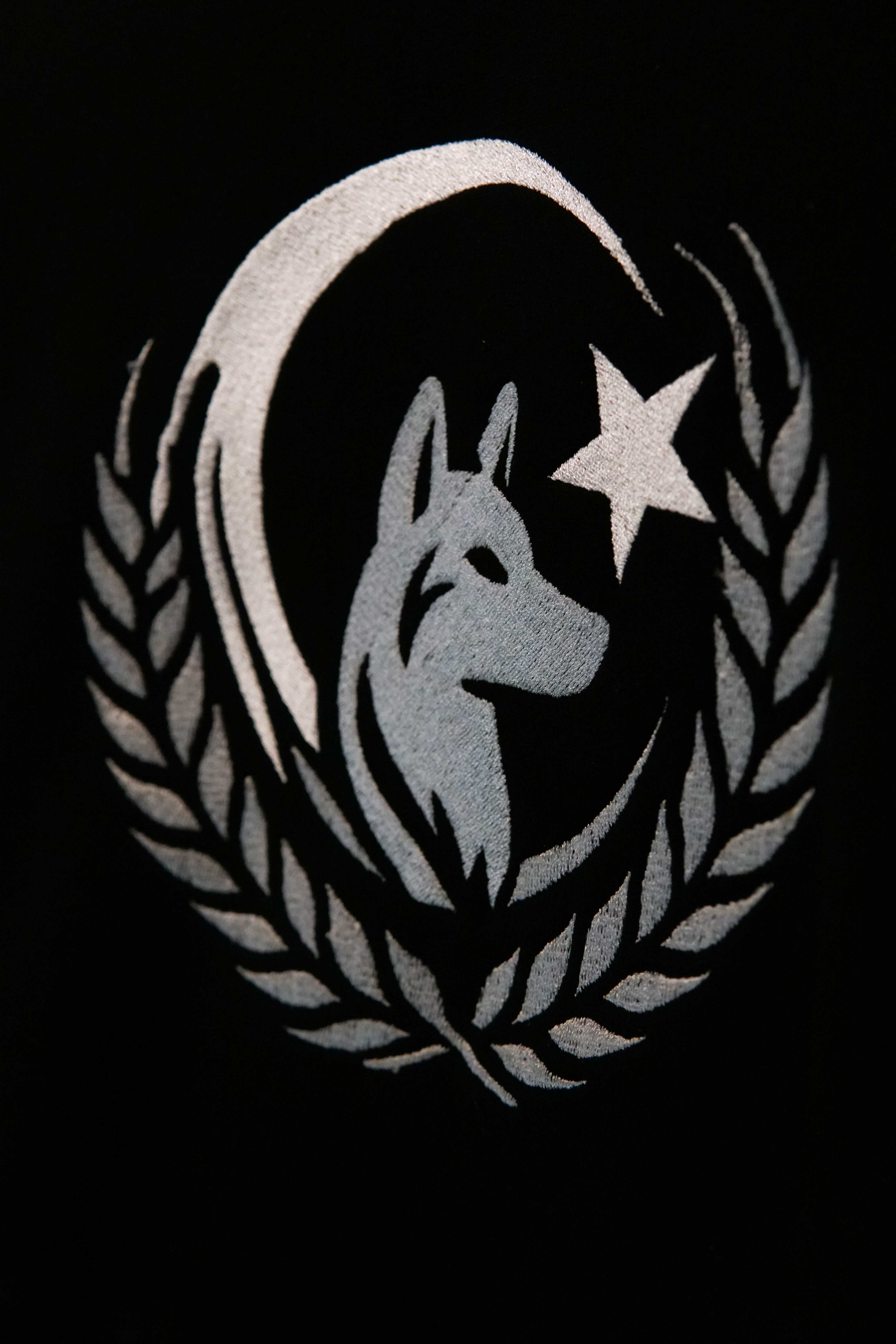 Bozkurt Arması Ön Nakışlı  Türk Serisi (Unisex Kapüşonlu)