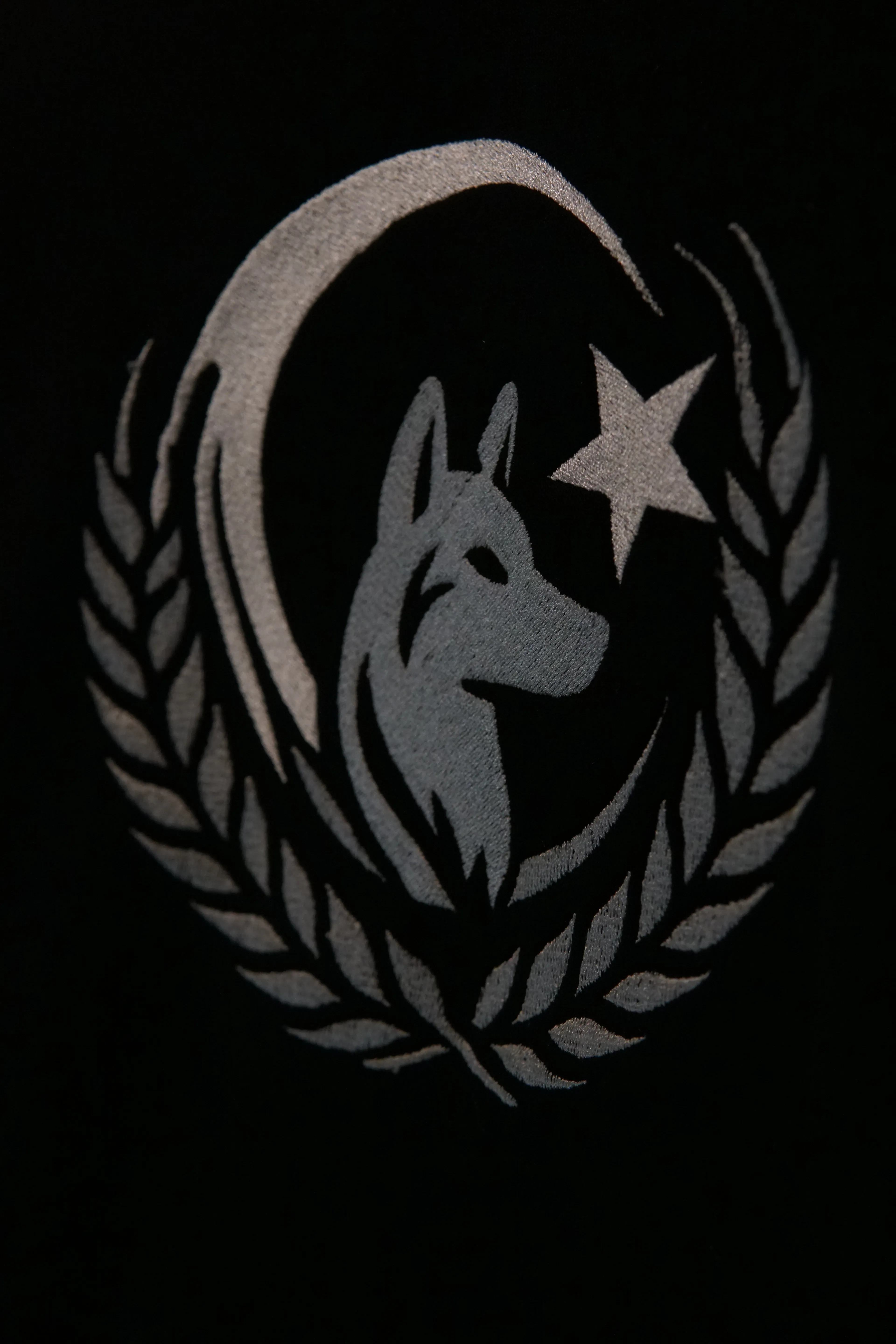 Bozkurt Arması Ön Nakışlı   Türk Serisi (Unisex Kapüşonsuz)