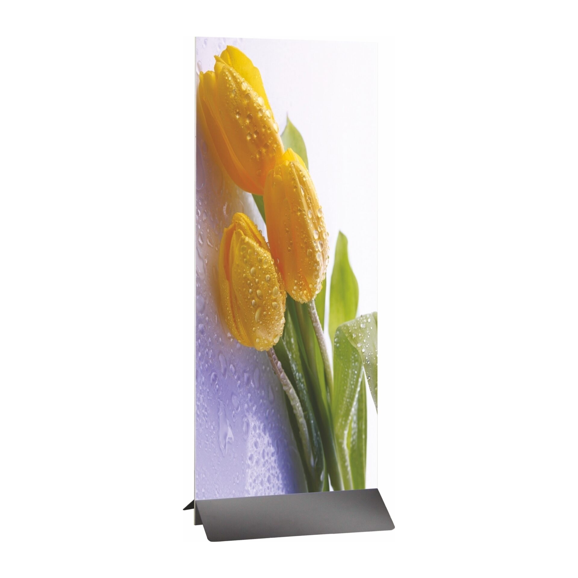 Board Binder