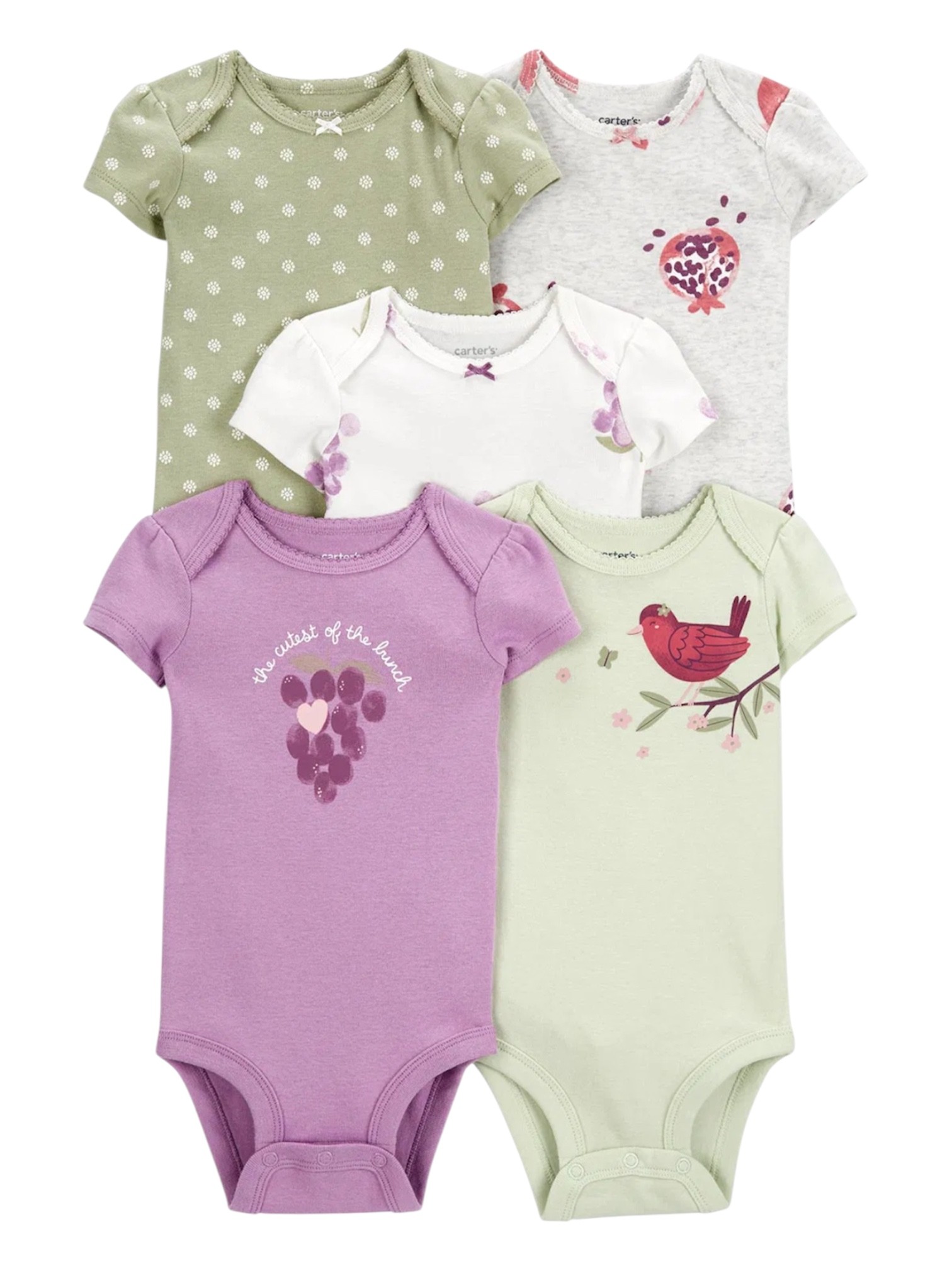 Carter's Kız Bebek 5Li Kısa Kollu Body