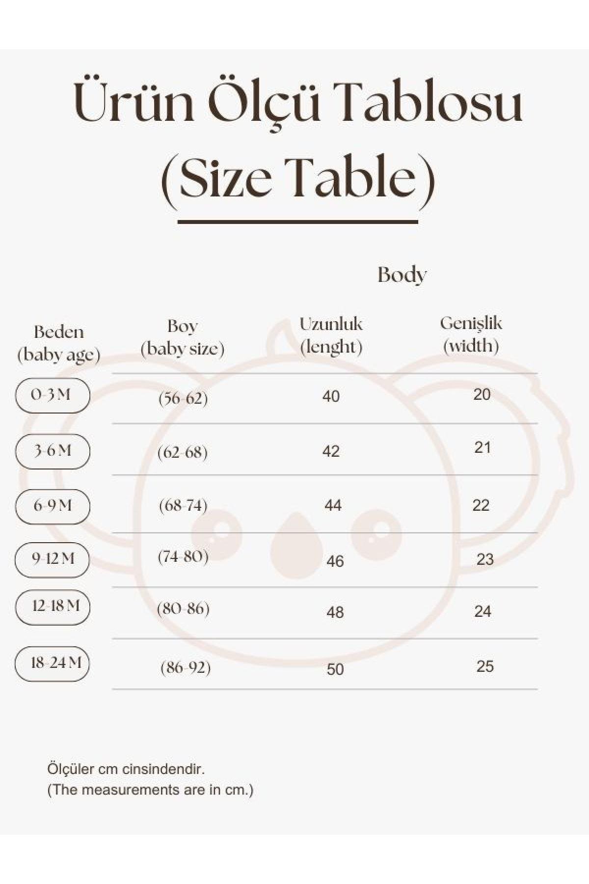 Oh La La Koala 3'lü Nakışlı Kısa Kollu Çıt Çıtlı Body - Zıbın Model 6
