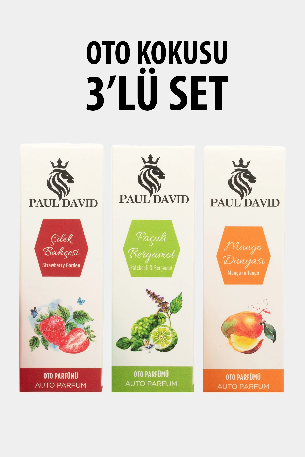 Dekoratif Araç Oto Kokusu 3 lü Set ( Mango-Çilek-Paçuli) image