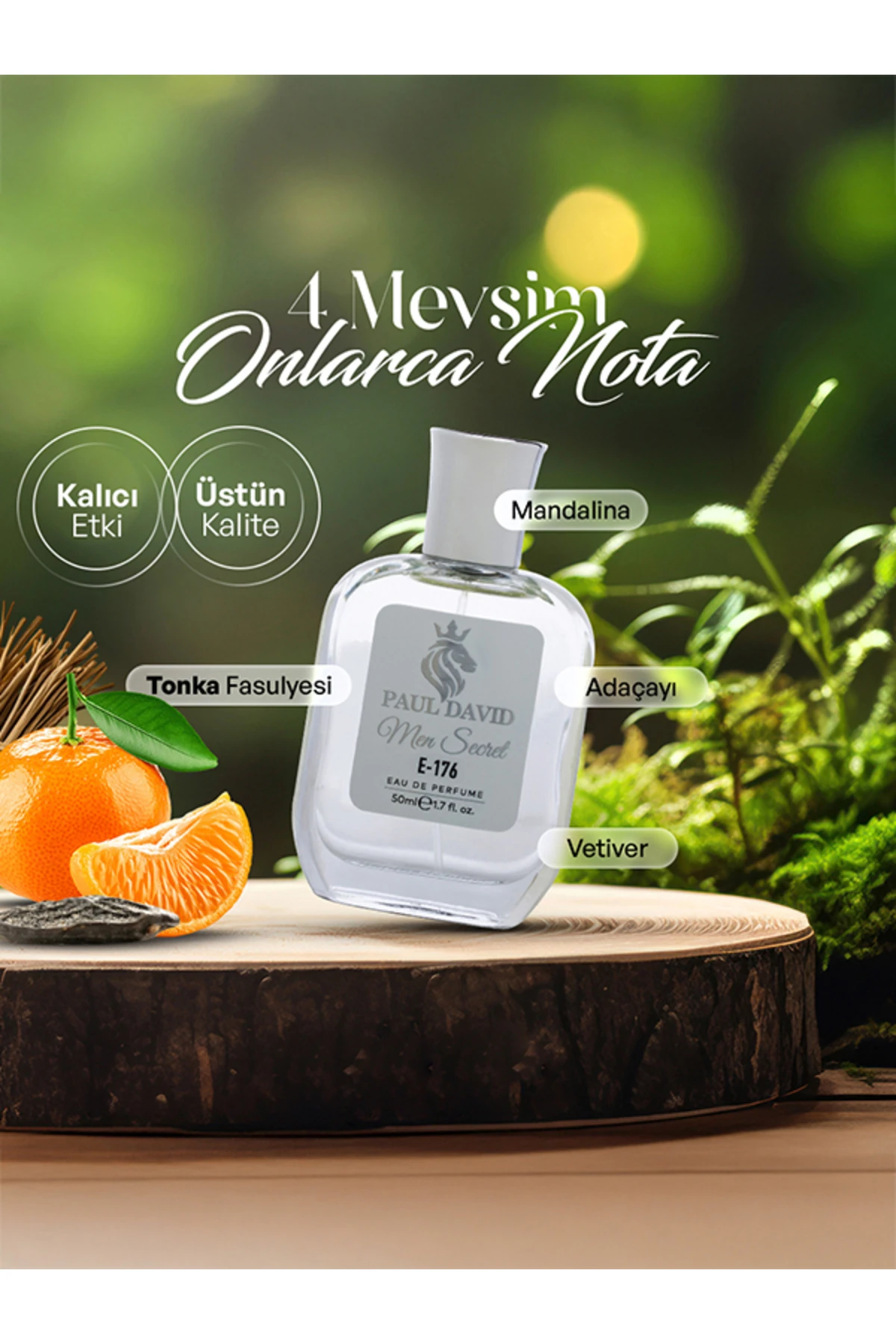 E-176 Oryantal Odunsu Erkek Parfüm Edp Uzun Süre Kalıcı 50 ml