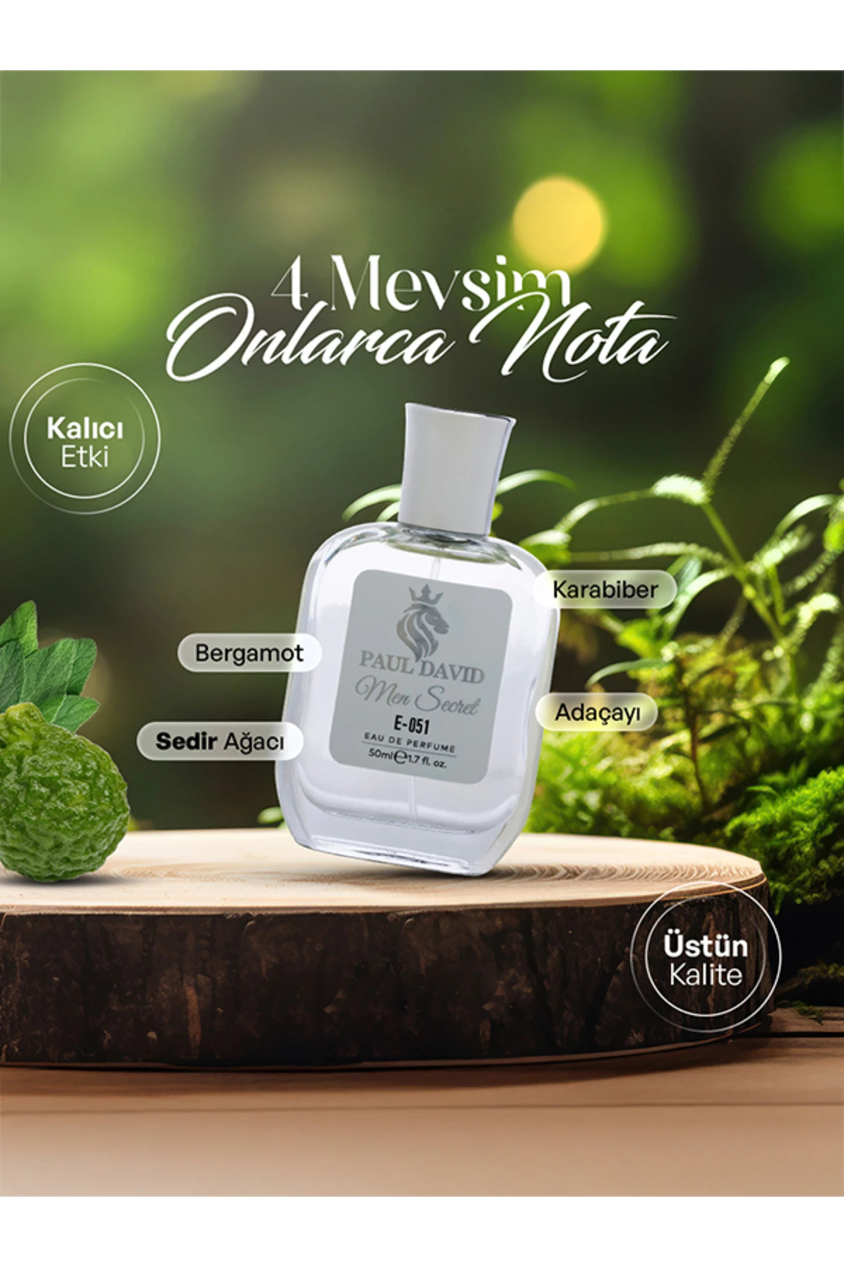 E-051 Aromatik Fougere Erkek Parfüm Edp Uzun Süre Kalıcı 50 ml