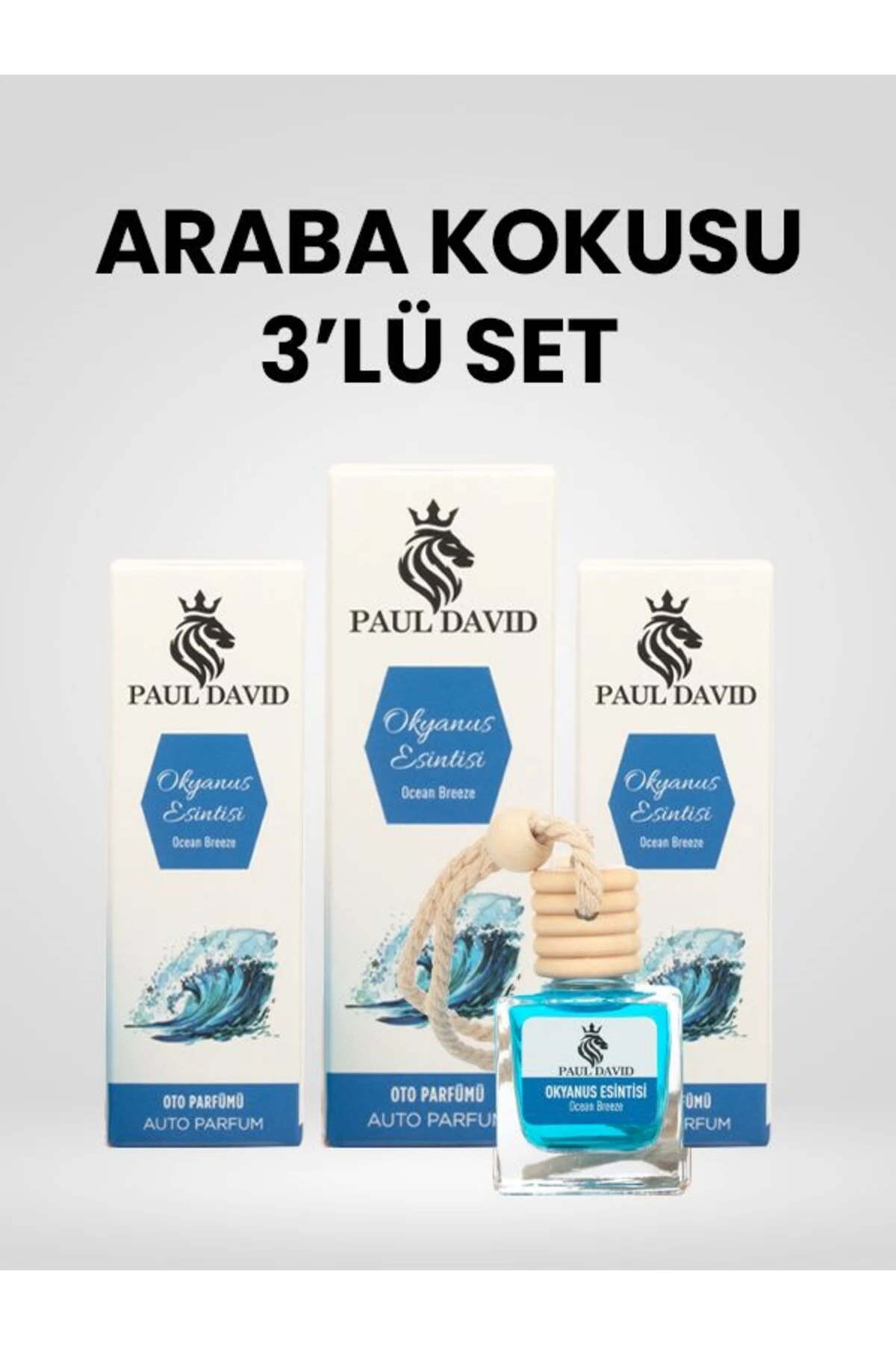 Dekoratif Araç Oto Kokusu 3 lü Set Okyanus Esintisi image
