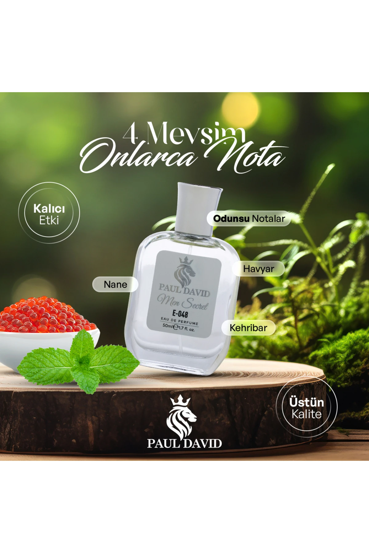 E-048 Oryantal Baharat Erkek Parfüm Edp Uzun Süre Kalıcı 50 ml