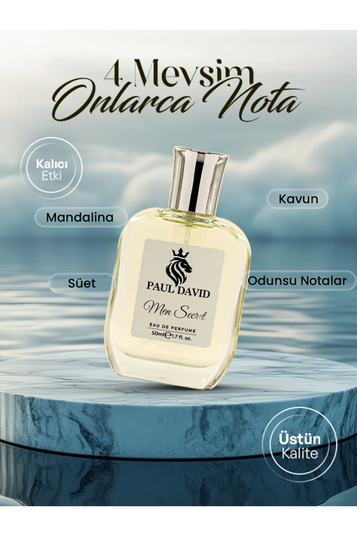 E-254 AROMATİK FOUGERE EDP PARFÜM UZUN SÜRE KALICI 50ML