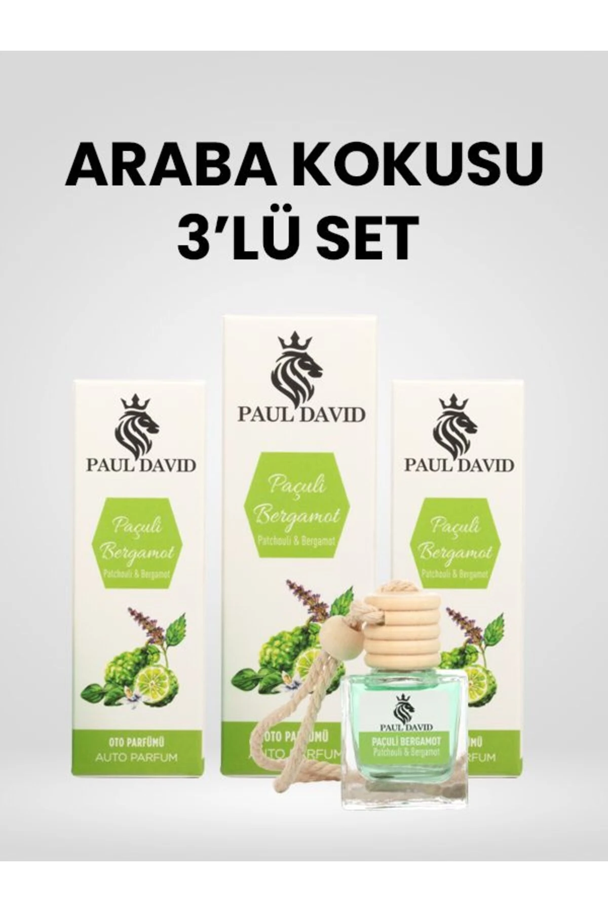 Dekoratif Araç Oto Kokusu 3 lü Set Paçuli & Bergamot image