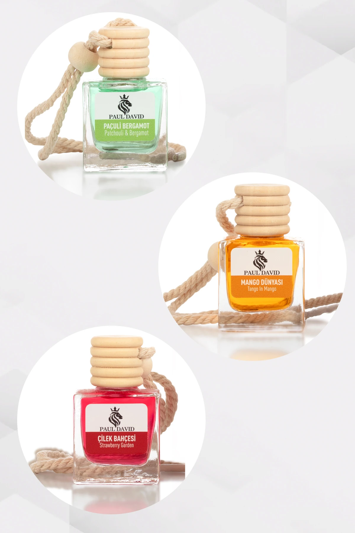 Dekoratif Araç Oto Kokusu 3 lü Set ( Mango-Çilek-Paçuli)