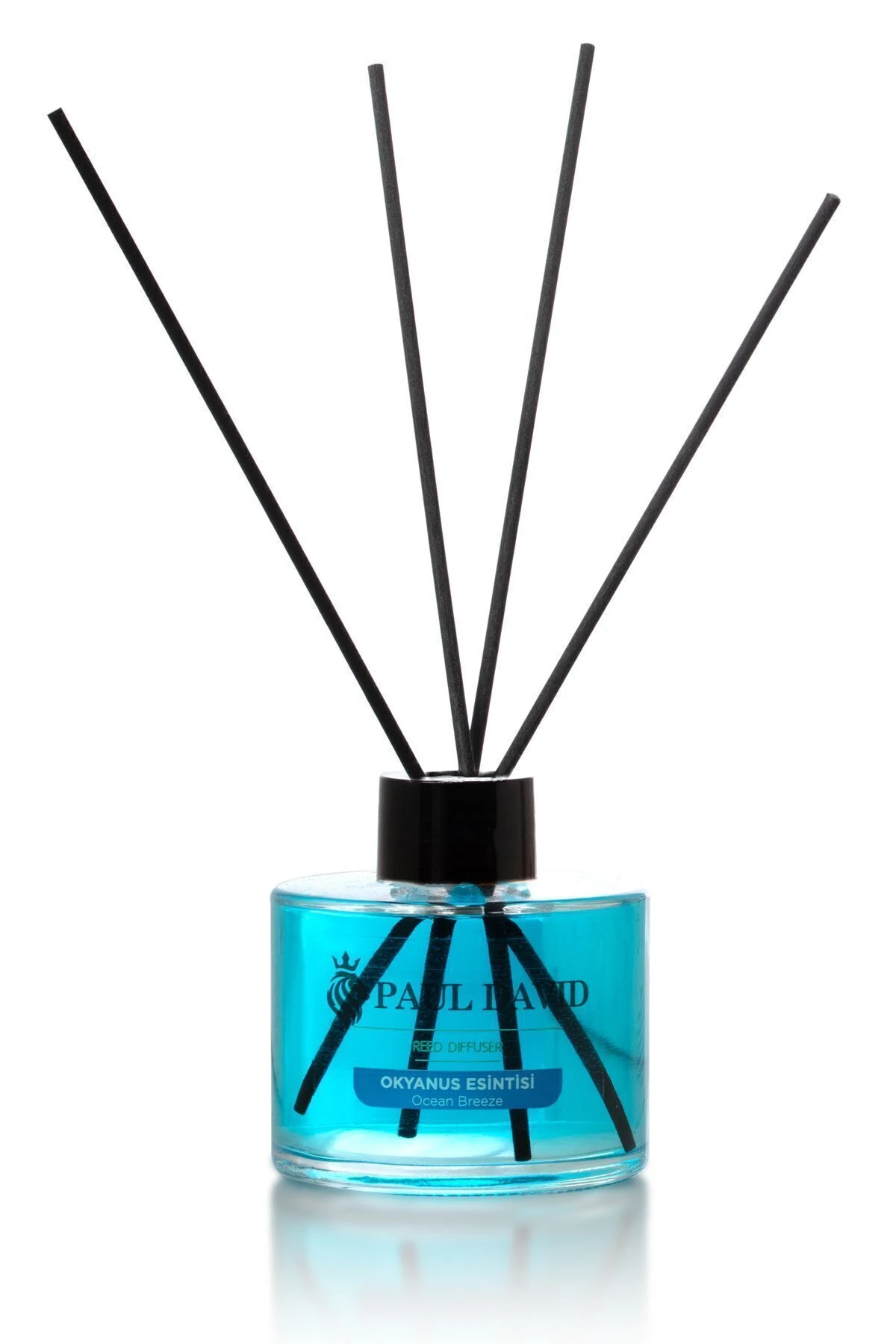 Okyanus Esintisi Yüksek Koku Yayılımlı Dekoratif Bambu Çubuklu Oda Kokusu 145 ml