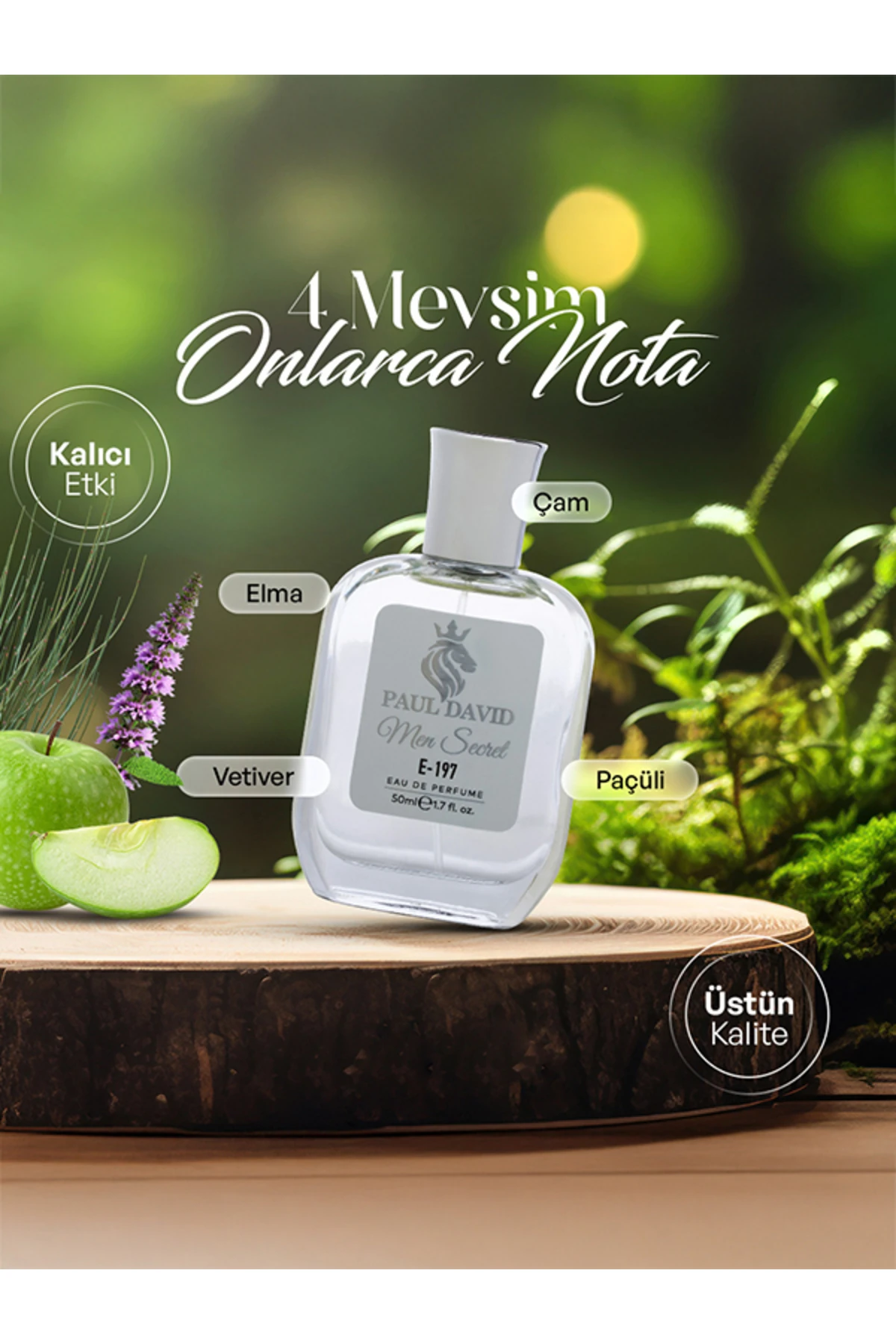 E-197 Aromatik Fresh Erkek Parfüm EDP Uzun Süre Kalıcı 50 ml