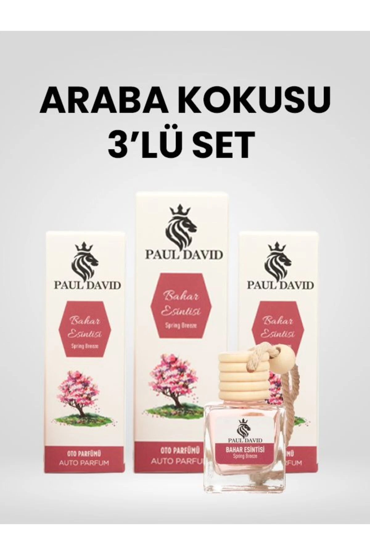 Dekoratif Araç Oto Kokusu 3 lü Set Bahar Esintisi image