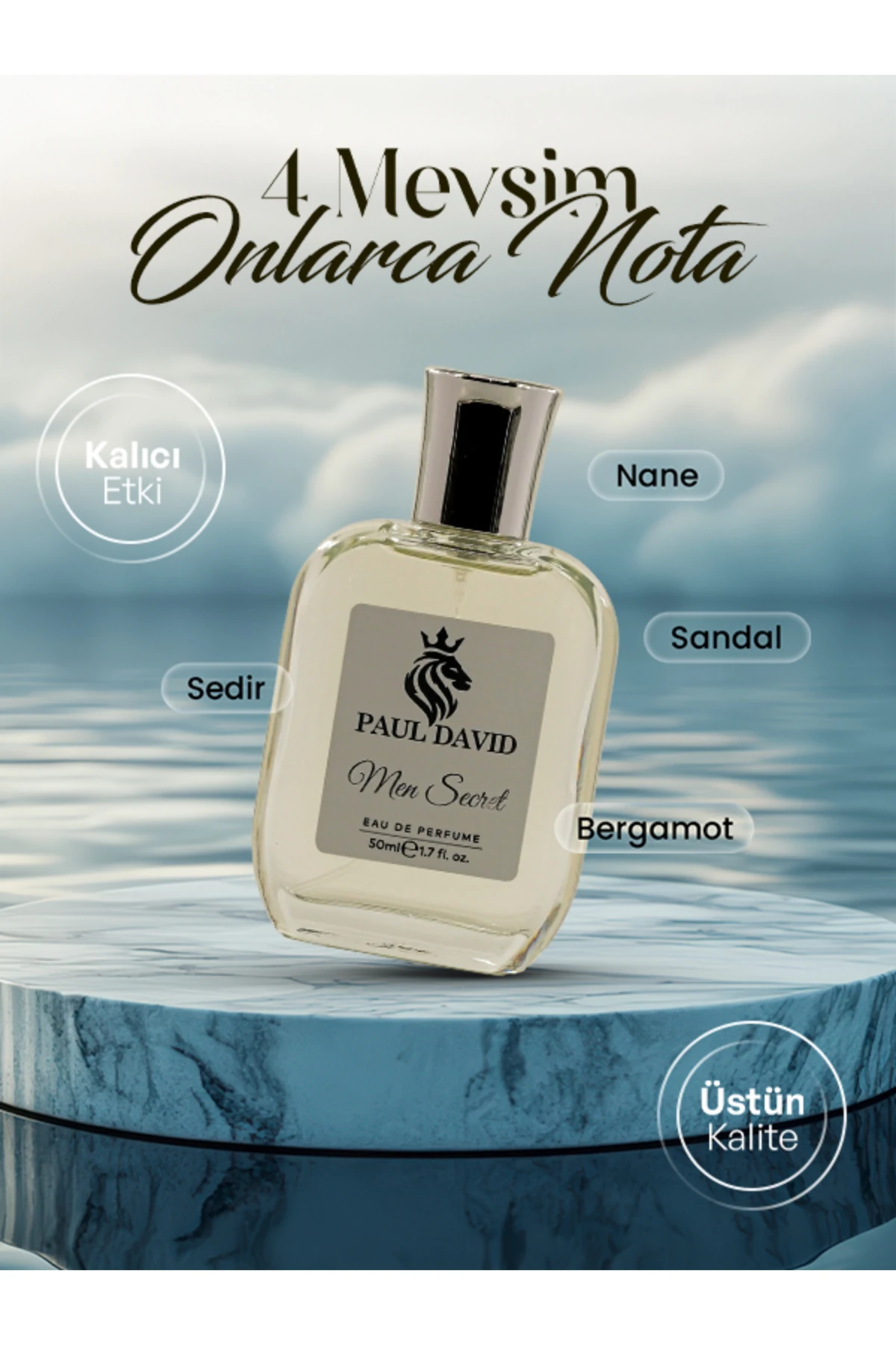 E-029 AROMATİK ODUNSU EDP PARFÜM UZUN SÜRE KALICI 50ML