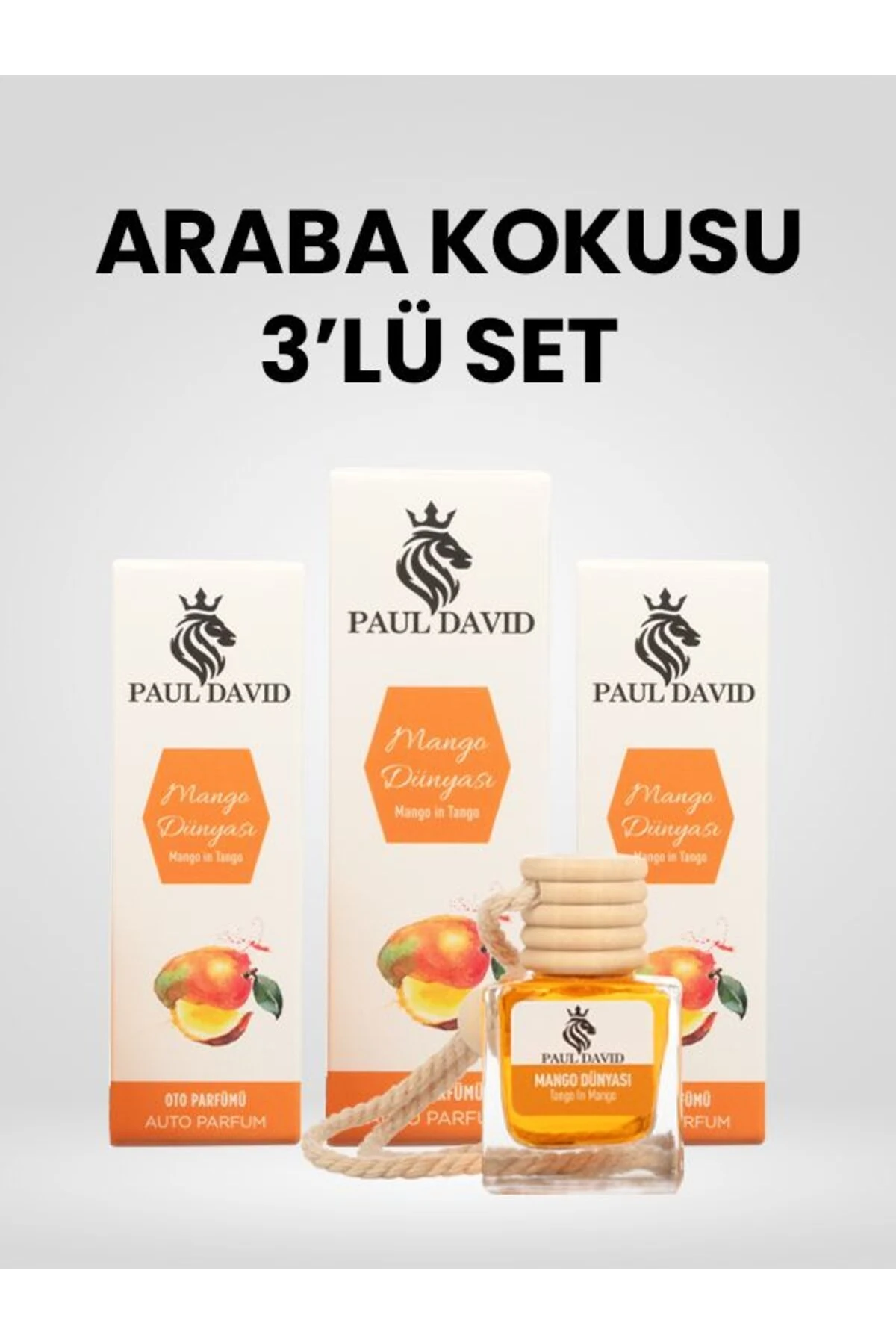 Dekoratif Araç Oto Kokusu 3 lü Set Mango Dünyası image