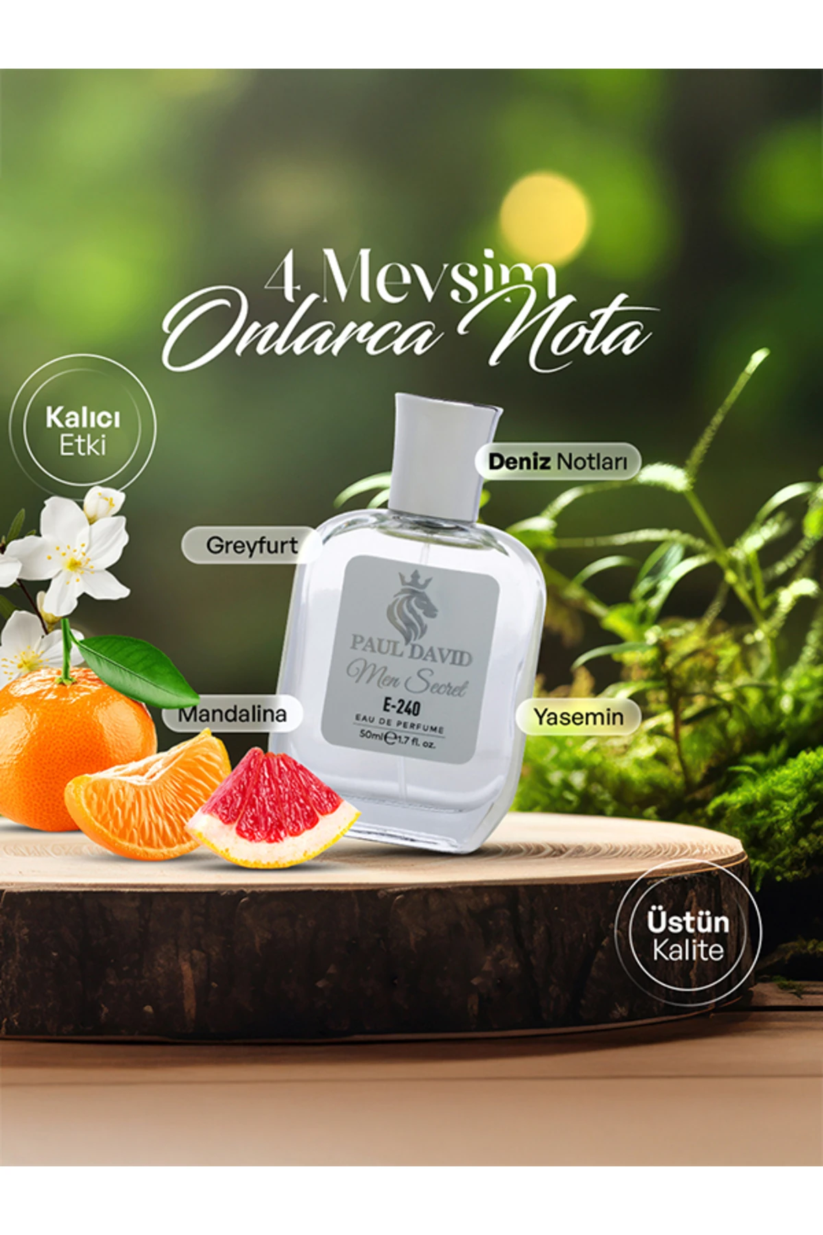 E-240 Odunsu Fresh Erkek Parfüm Edp Uzun Süre Kalıcı 50 ml