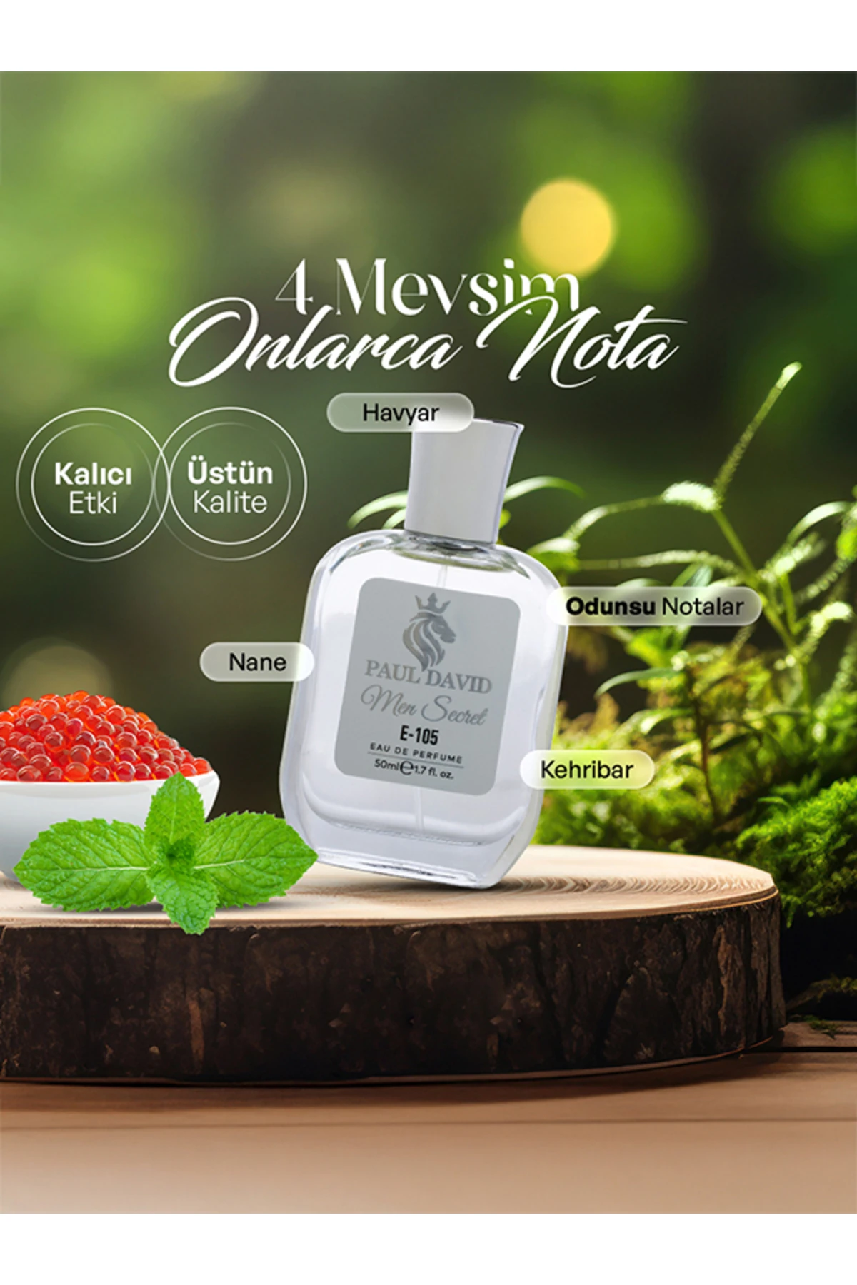 E-105 Aromatik Fougere Erkek Parfüm EDP Uzun Süre Kalıcı 50 ml