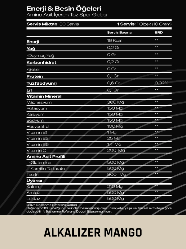 ALKALIZER 300GR 30SERVİS MANGO