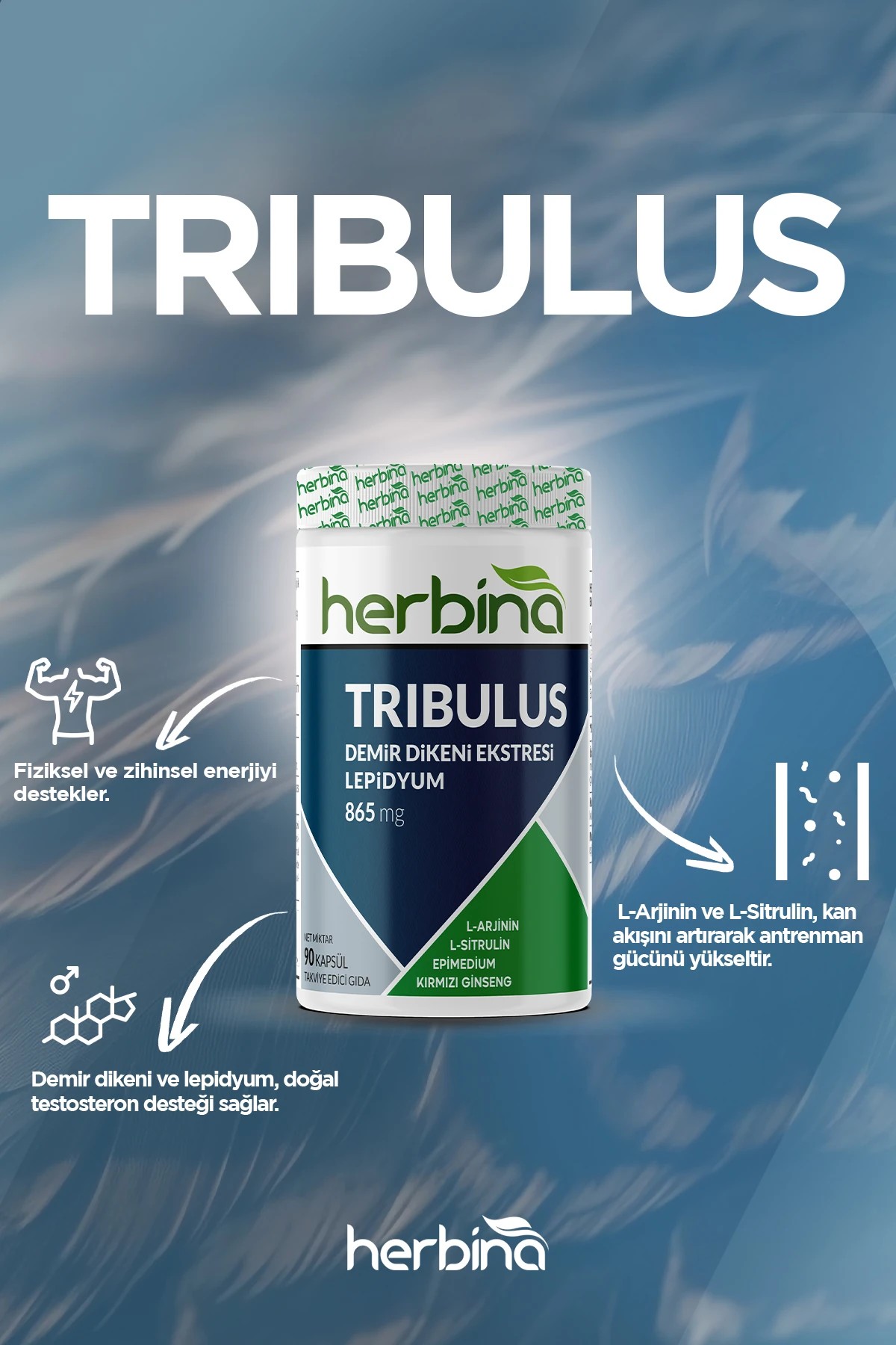 Tribulus (Demir Dikeni Ekstresi) + Lepidyum 90 Kapsül