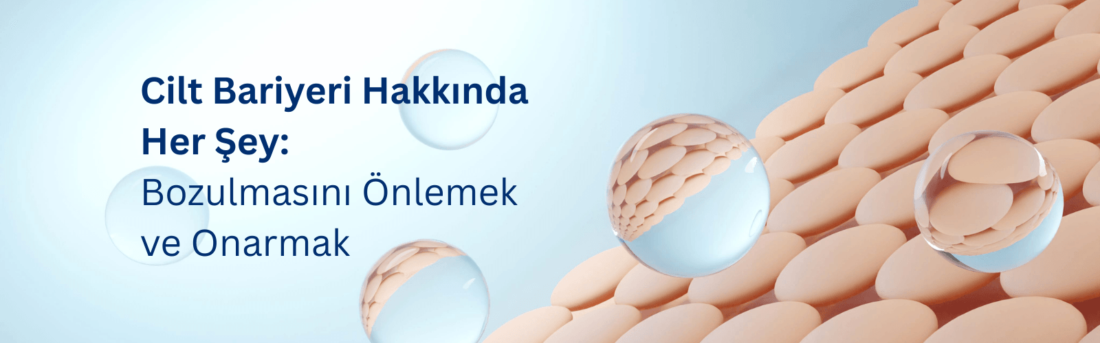 Cilt Bariyeri Hakkında Her Şey: Bozulmasını Önlemek ve Onarmak