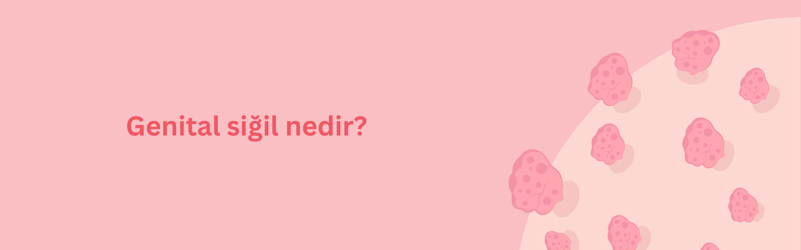 Genital Siğil Nedir? Belirtileri, Nedenleri ve Tedavi Yöntemleri Hakkında Bilmeniz Gerekenler