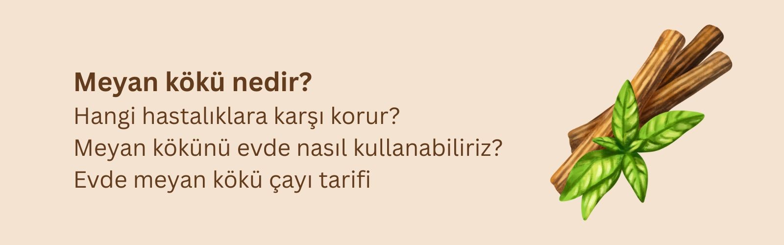 Meyan Kökü Nedir? Nasıl Kullanılır? Evde Meyan Kökü Çayı Tarifi