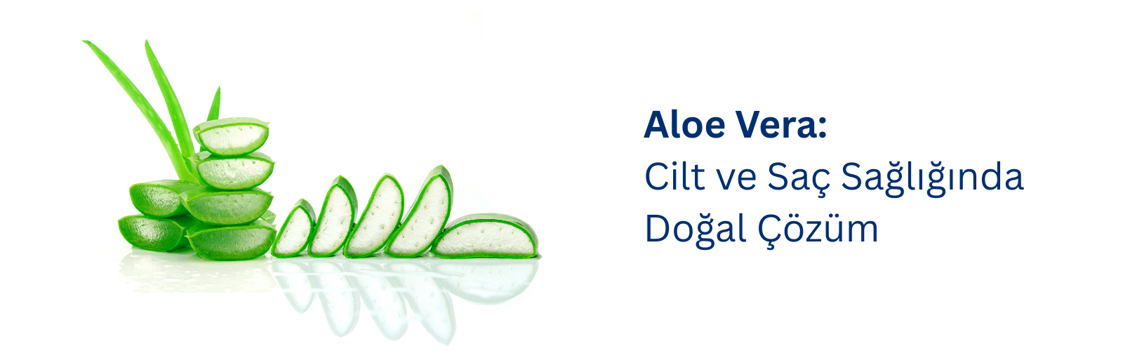 Aloe Vera: Cilt ve Saç Sağlığında Doğal Çözüm