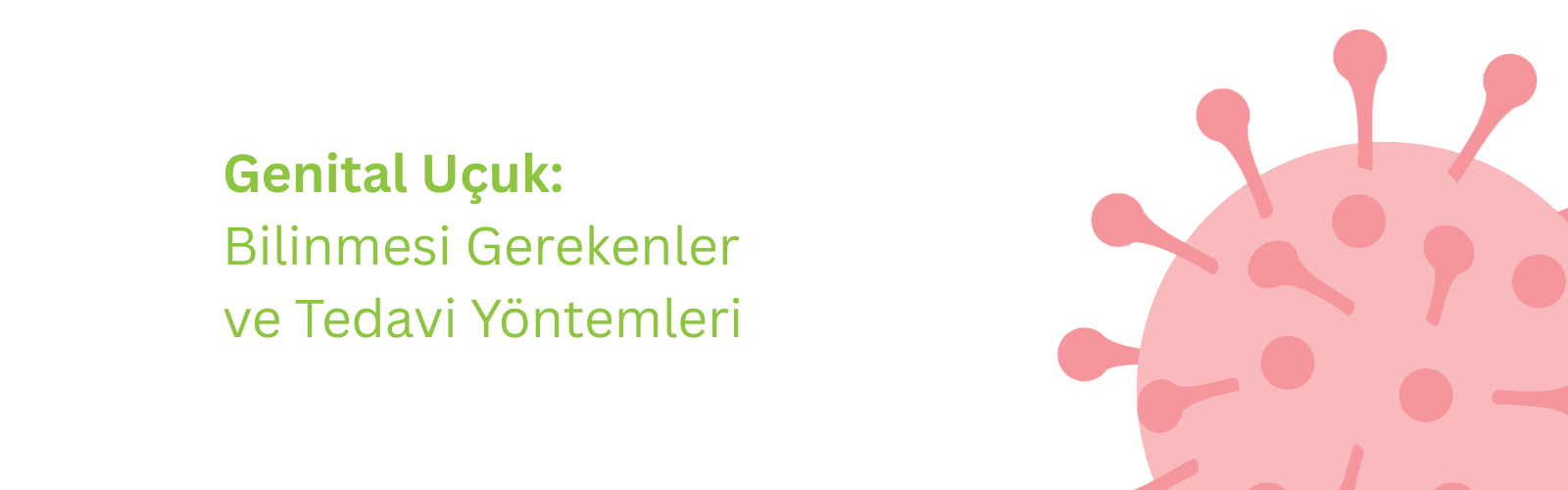 Genital Uçuk Nedir? Belirtileri ve Tedavi Yöntemleri Hakkında Her Şey